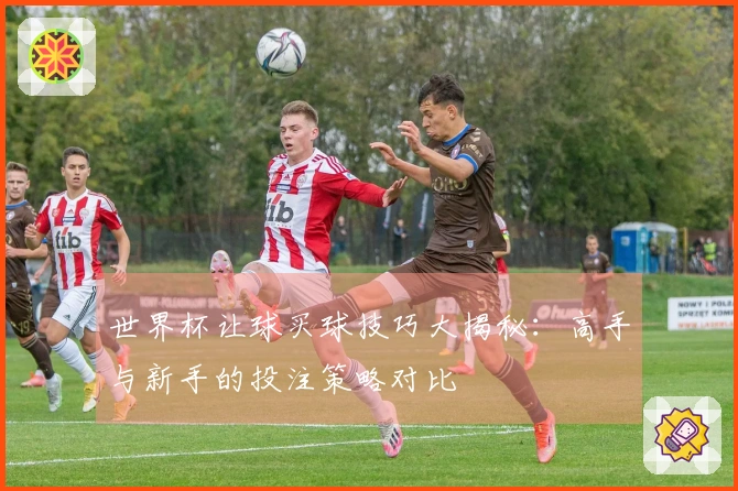 世界杯让球买球技巧大揭秘：高手与新手的投注策略对比