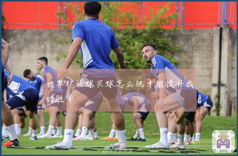 世界杯让球买球怎么玩才能提升我的胜率