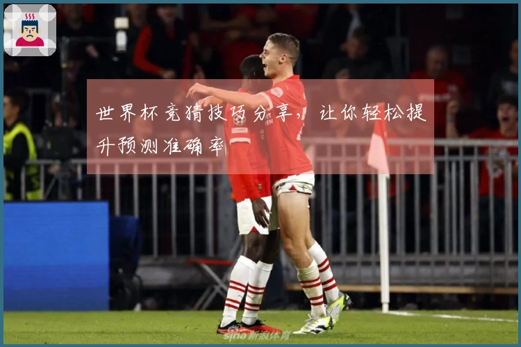 世界杯竞猜技巧分享，让你轻松提升预测准确率