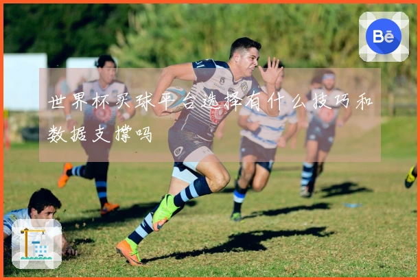 世界杯买球平台选择有什么技巧和数据支撑吗