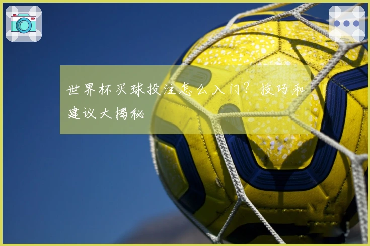 世界杯买球投注怎么入门？技巧和建议大揭秘