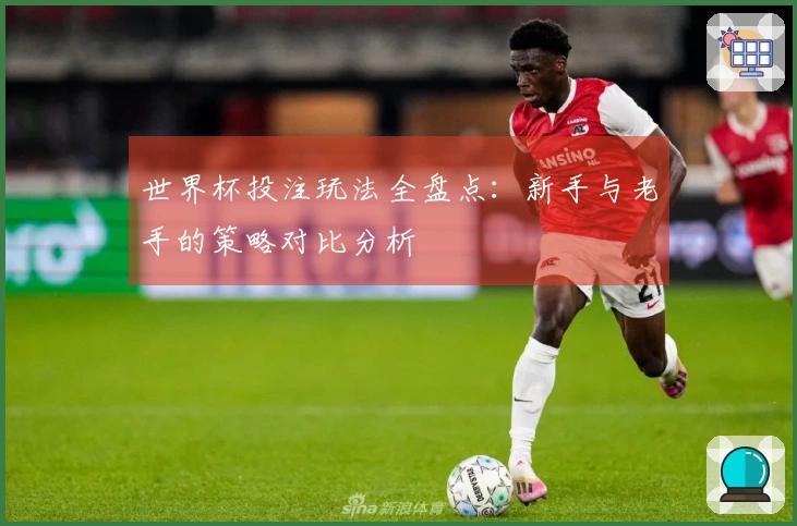 世界杯投注玩法全盘点：新手与老手的策略对比分析