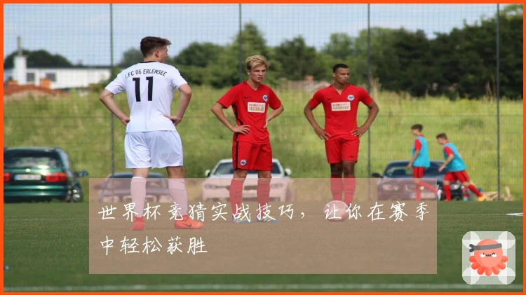 世界杯竞猜实战技巧，让你在赛季中轻松获胜