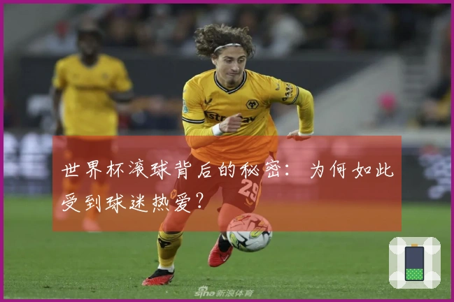 世界杯滚球背后的秘密：为何如此受到球迷热爱？