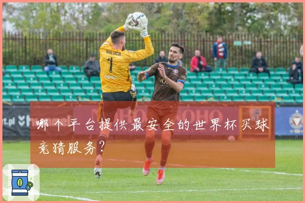 哪个平台提供最安全的世界杯买球竞猜服务？