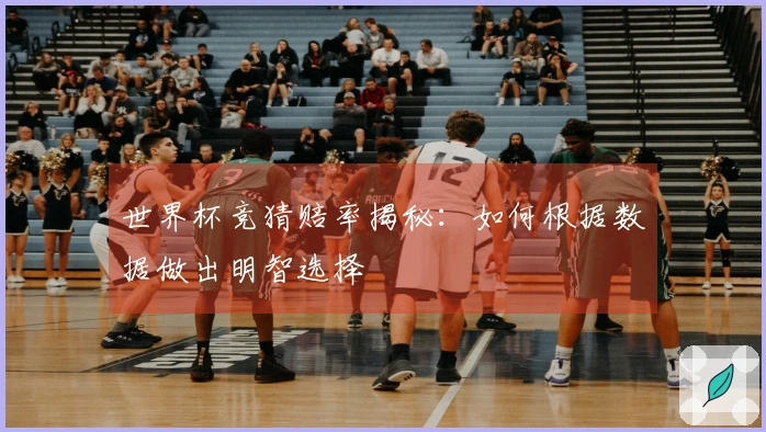 世界杯竞猜赔率揭秘：如何根据数据做出明智选择