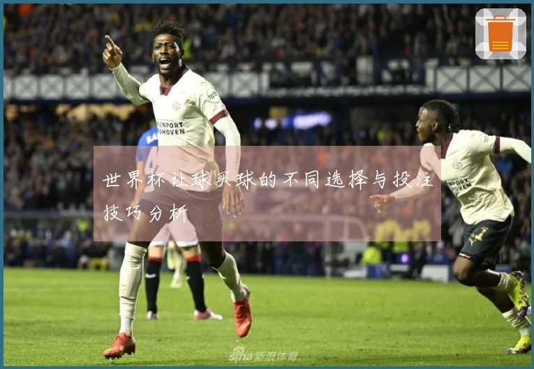 世界杯让球买球的不同选择与投注技巧分析