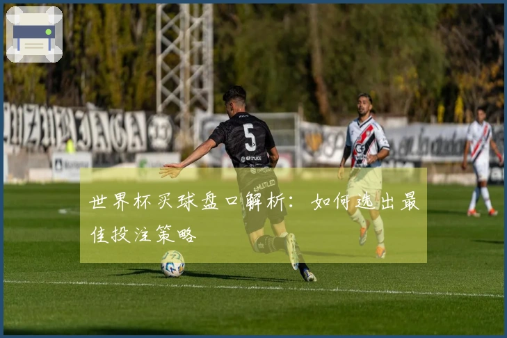 世界杯买球盘口解析：如何选出最佳投注策略
